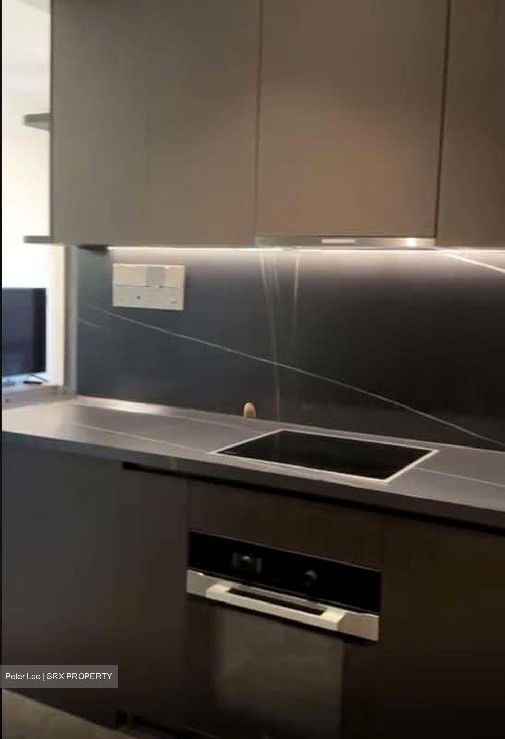 Hyll On Holland (D10), Condominium #572056891